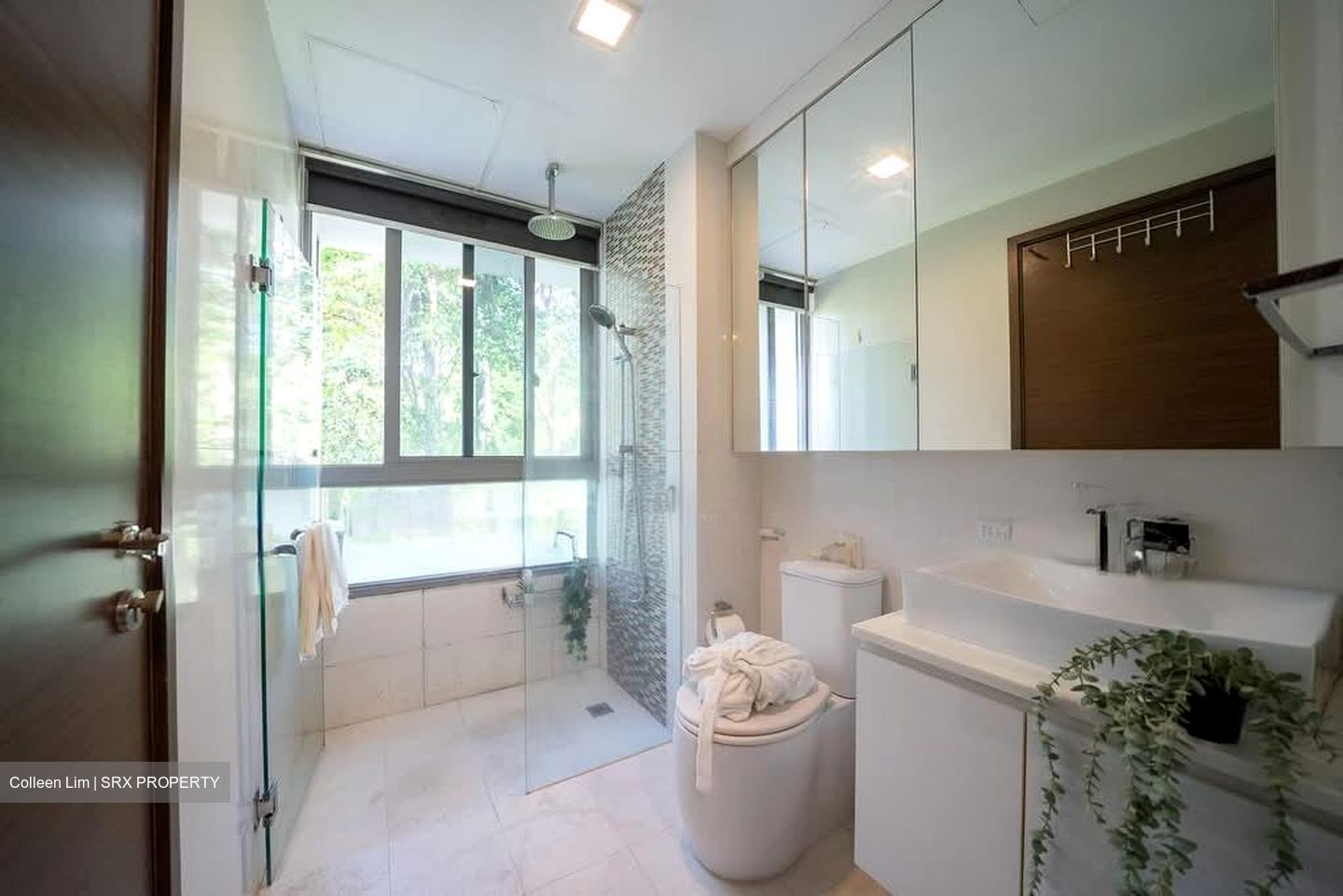 Suites de Laurel (D21), Apartment #540408791